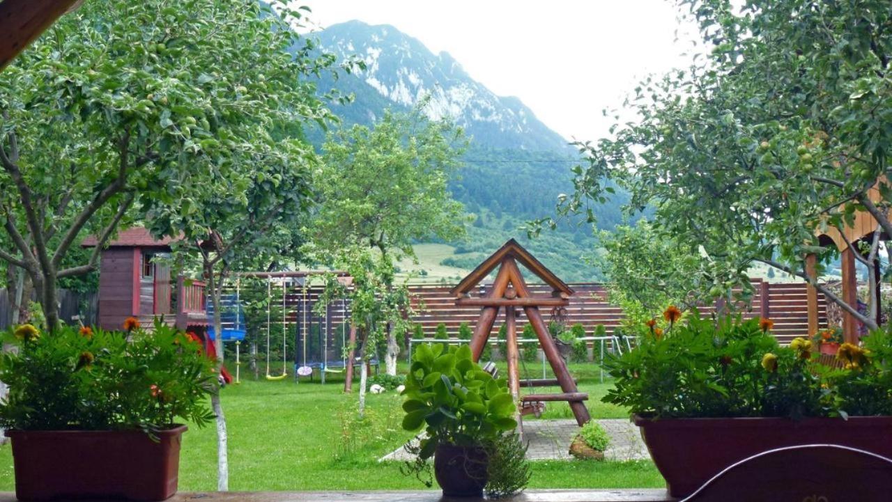 فندق Sura Pietrei Craiului Zărneşti المظهر الخارجي الصورة