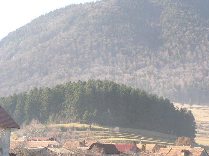 فندق Sura Pietrei Craiului Zărneşti المظهر الخارجي الصورة